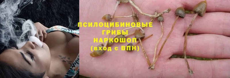 Галлюциногенные грибы MAGIC MUSHROOMS  Вуктыл 